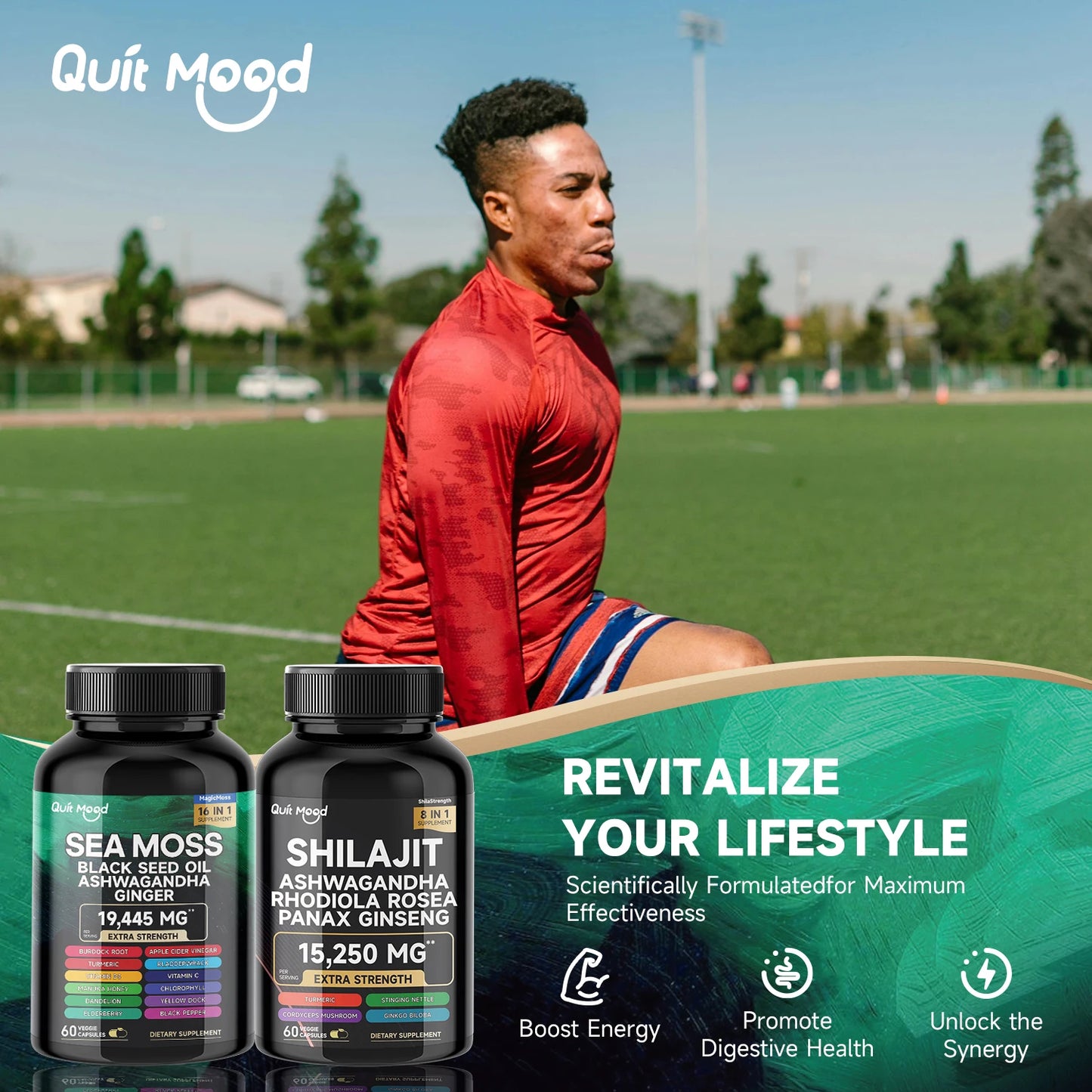 Sea Moss and Shilajit |High Potency Vitality Combo - Ashwagandha Turmeric Bladder, Burdock 2000 Mg  & Ginger, Vitamin C